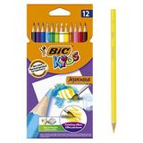BIC 39791 Kuru Boya
