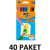 Bic 40 Paket Tropicolors Kuru Boya Kalemi 12 Renk Tam Boy Çocuklar İçin Eğlenceli Boyama Seti