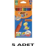 Bic 5 Adet Evolution Kuru Boya 12`li