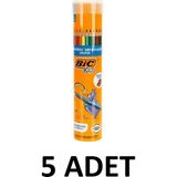 Bic 5 Adet Evolution Kuru Boya Kalemi 12+1'li Metal Tüp
