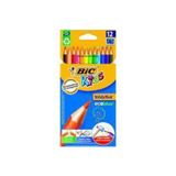 Bic 829029 Evolution 12'li Kuru Boya Kalemi