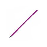 Bic 901737 Evolutıon Purple Kurşun Kalem