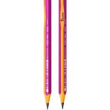 Bic Evolution 2'li Jumbo Kurşun Kalem Pembe