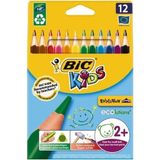 Bic Evolution Jumbo Üçgen Kuru Boya 12 Renk Karton Kutu 2 Yaş ve Üstü Çocuklar için Güvenli ve Eğlenceli