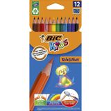 Bic Evolution Kuru Boya Kalem Seti - 12'li