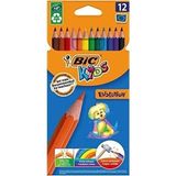 Bic Evolution Kuru Boya Kalemi 12 Renk Canlı Renkler ile Çocuklar İçin Güvenli Kalem Seti