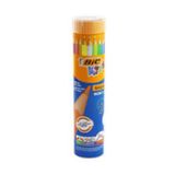 Bic Evolution Kuru Boya Kalemi Seti, 24+1 Metal Tüp