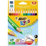 Bic Evolution Üçgen Jumbo Kuru Boya Kalemi, 12'li Set, Karışık Renkler