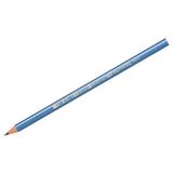 Bic Evolution Üçgen Kurşun Kalem