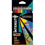 Bic İntensity 12 Renk Köşeli Kuru Boya TYB5VTAP48JHHKCG03