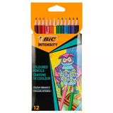 Bic Intensity Kuru Boya Kalemi 12’li