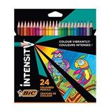 Bic İntensity Kuru Boya Kalemi 24 Renk Çok Renkli
