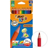 Bic Kids Evolution 82902910 12 Renk Kuru Boya Kalemi