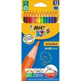 Bic Kids Evolution Kuru Boya Kalemi 12 Renk TYBCKY18AF9OK45Y15