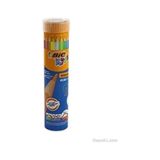 Bic Kids Evolution Metal Tüpte Kuru Boya Kalemi 12+1 Çok Renkli Renk Seçenekleri