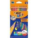 Bic Kuru Boya 12'li