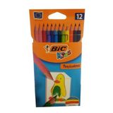 Bic Kuru Boya Kalemi