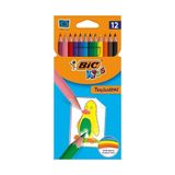 Bic Kuru Boya Tam Boy 12 Renk Tropik Renkli