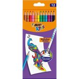 Bic Silinebilir 12'li Kuru Boya Seti / Silinebilir Kuru Boya