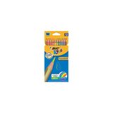 Bic Tropicolors Kuru Boya 12Li Kutu