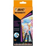 Bic Yoğunluk Suluboya Kalem Kutusu 12