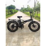 Bicante Bt-8 Katlanır Elektrikli Bisiklet E-Bike