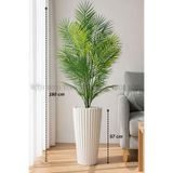 BİÇİÇEK 160 CM AREKA AĞACI 24 YAPRAKLI BEYAZ LİLYUM SAKSIDA