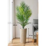 BİÇİÇEK 160 CM AREKA AĞACI 24 YAPRAKLI MOCHA KUMSAL SAKSIDA