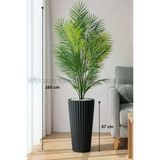 BİÇİÇEK 160 CM AREKA AĞACI 24 YAPRAKLI SİYAH LİLYUM SAKSIDA