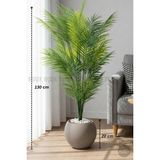 Biçiçek Areka Ağacı 24 Yapraklı 130 cm Küre Saksıda - Kahverengi
