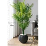 Biçiçek Areka Ağacı 24 Yapraklı 130 Cm Küre Saksıda