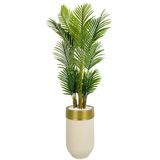 Biçiçek Areka Palmiyesi 160Cm Krem Gold Metal Darbuka Saksıda