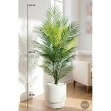 Biçiçek Yapay Areka Ağaci 24 Yapraklı 130 Cm Beyaz Vega Saksıda