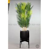 Biçiçek Yapay Areka Palmiyesi 48 Yapraklı 175 Cm Ayakli Siyah Vega Saksıda