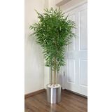 Biçiçek Yapay Bambu Ağacı 180CM Metal Saksıda Yoğun Yapraklı 7 Dallı