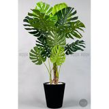 Biçiçek Yapay Monstera Ağacı Deve Tabani 160 Cm Siyah Luna Saksıda