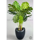 Biçiçek Yapay Monstera Ağacı Deve Tabani 170 Cm Antresit Lale Saksıda