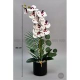 Biçiçek Yapay Phalaenopsis Beyaz Benekli Orkide 60 Cm
