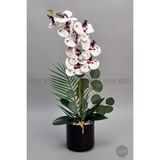 Biçiçek Yapay Phalaenopsis Orkide Buyuk Boy - Beyaz - Fuşya