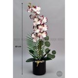 Biçiçek Yapay Phalaenopsis Orkide Buyuk Boy - Beyaz - Mürdüm