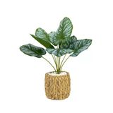 Biçiçek Yapay Salon Bitkisi Bitkisi 60 Cm