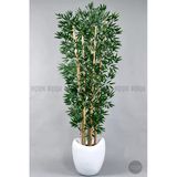 Biçiçek Zen Bambu Ağacı 240 Cm Beyaz Bone Saksıda
