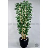 Biçiçek Zen Bambu Ağacı 240 Cm Mocha Bone Saksıda
