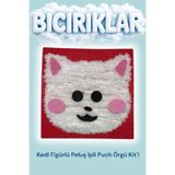 bıcırıklarkids Çocuklar İçin Etkinlik, Kedi Figürlü Keçe Punch Örgü Kit'i