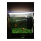 bidevre Akvaryum Ve Araç Içi Led Aydınlatma, 25 Cm, Beyaz, 12 Volt Adaptör Ile Birlikte