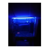 bidevre Akvaryum Ve Araç Içi Led Aydınlatma, 25 Cm, Mavi, 12 Volt Adaptör Ile Birlikte