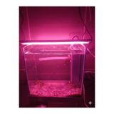 bidevre Akvaryum Ve Araç Içi Led Aydınlatma, 25 Cm, Pembe, 12 Volt Adaptör Ile Birlikte