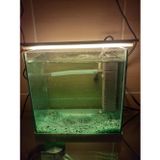 bidevre AKVARYUM VE ARAÇ İÇİ LED AYDINLATMA, 25 cm, SARI AMBER, 12 VOLT ADAPTÖR İLE BİRLİKTE