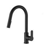 Bien Spiralli Eviye Bataryası - Pull Down Mat Siyah - Parlak Antik