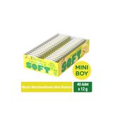 Bifa Soft Muzlu Marshmallowlu Mini Boy Bisküvi 12 gr x 40 Adet